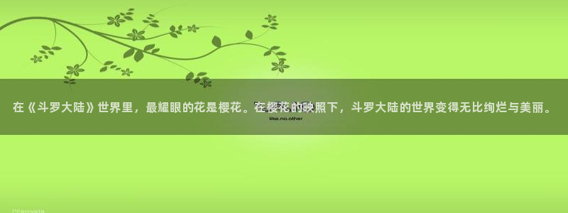 动漫岛网址