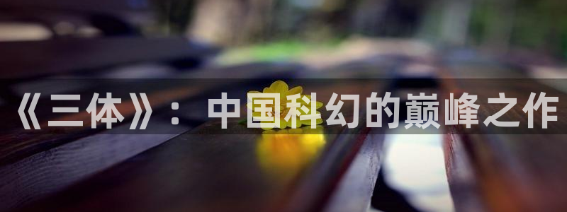 动漫岛网